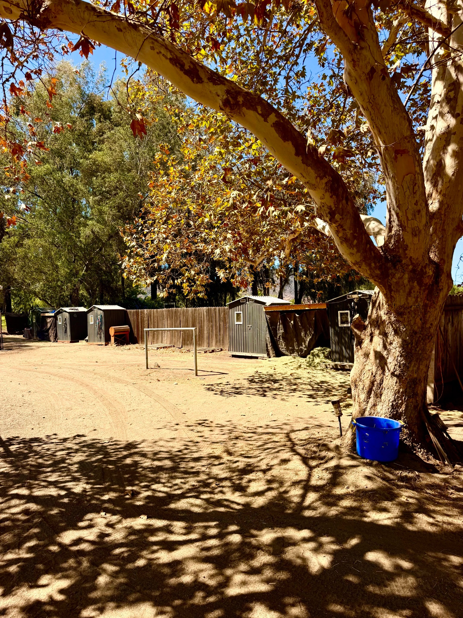Tack and grain sheds beside the ranch lane