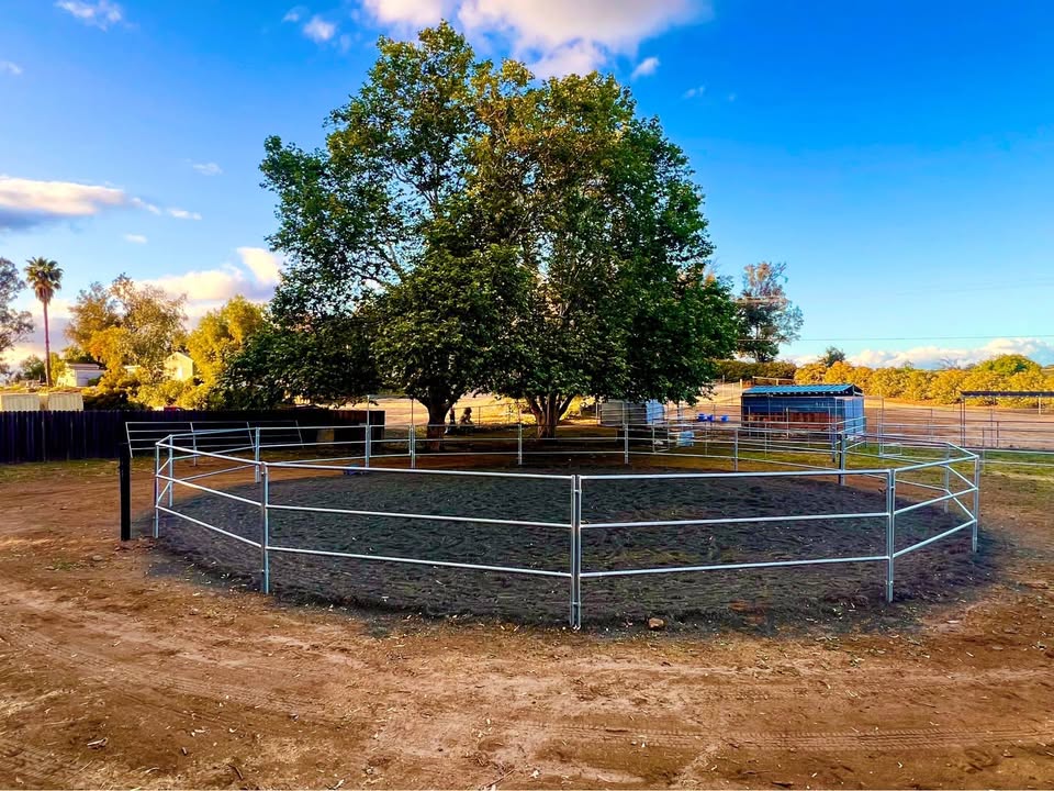 Outdoor round pen in front of a large tree at Silver Star Ranch